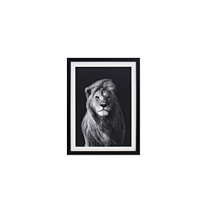 Tableau Le Lion Avec Cadre - Blanc / Noir Décoration