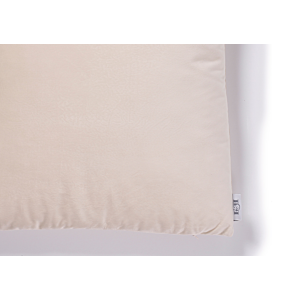 Coussin Intérieur 45X45Cm – Beige