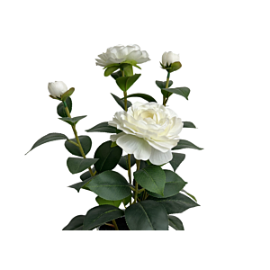 Plante Artificielle Blanche Gardenia Avec Pot 39Cm - Blanc