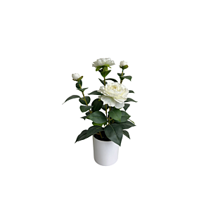 Plante Artificielle Blanche Gardenia Avec Pot 39Cm - Blanc Offres Ramadanesques