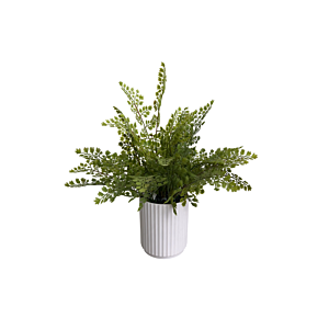 Plante Artificielle Fougere Avec Pot 30X30X42Cm - Vert Offres Ramadanesques