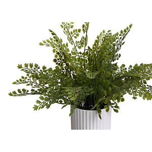 Plante Artificielle Fougere Avec Pot 30X30X42Cm - Vert