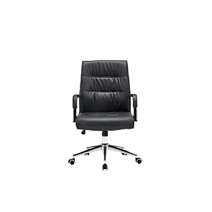 Fauteuil Sénateur Coach 2.0