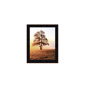 Cadre Photo Prestige 20X25Cm - Noir/Doré Offres Ramadanesques