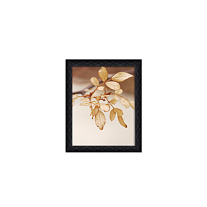 Cadre Photo Luxe En Ps 20X25Cm - Noir Offres Ramadanesques