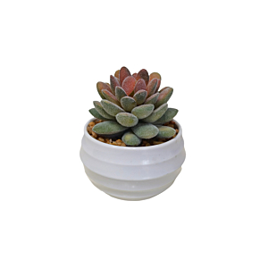 Plante Artificielle Avec Pot En Melamine 8,5X8,5X10Cm - Blanc Soldes été vague 2