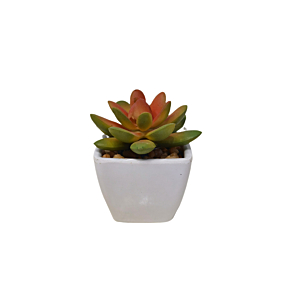 Plante Artificielle Avec Pot En Melamine 7X7X8 - Blanc Décoration