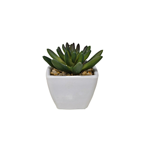 Plante Artificielle Avec Pot En Melamine 7,5X6X11,5Cm - Blanc Décoration