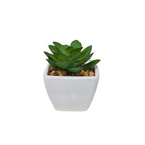 Plante Artificielle Avec Pot En Melamine 6X6X7,5Cm - Blanc Décoration