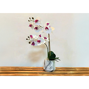 Orchidée Artificielle En Pot 25X25X55Cm - Blanc