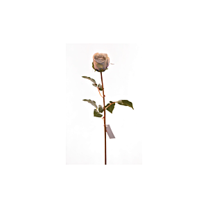Rose 60Cm - Bleu Déstockage